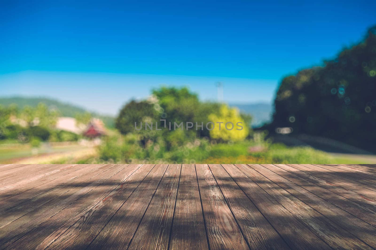 Beautiful sunlight in the autumn forest with wood planks floor, nature background, bokeh background