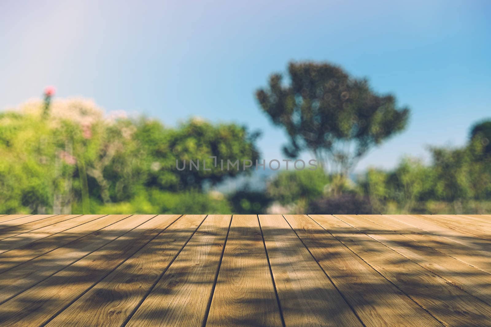 Beautiful sunlight in the autumn forest with wood planks floor, nature background, bokeh background