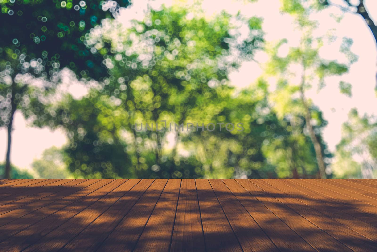 Beautiful sunlight in the autumn forest with wood planks floor by teerawit