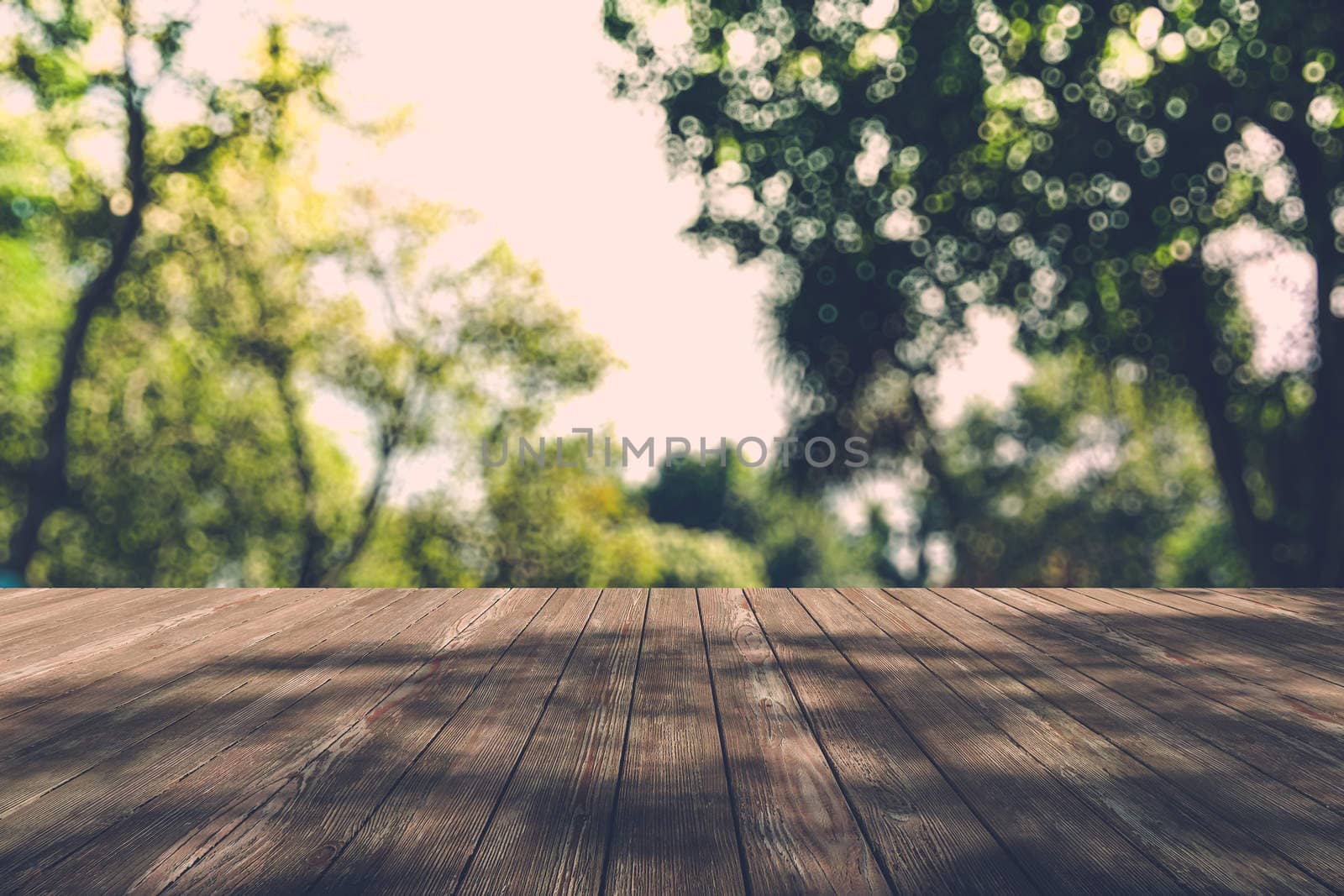 Beautiful sunlight in the autumn forest with wood planks floor, nature background, bokeh background