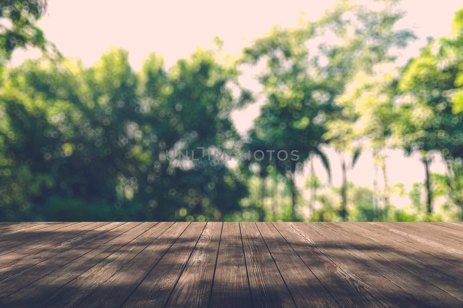 Beautiful sunlight in the autumn forest with wood planks floor by teerawit