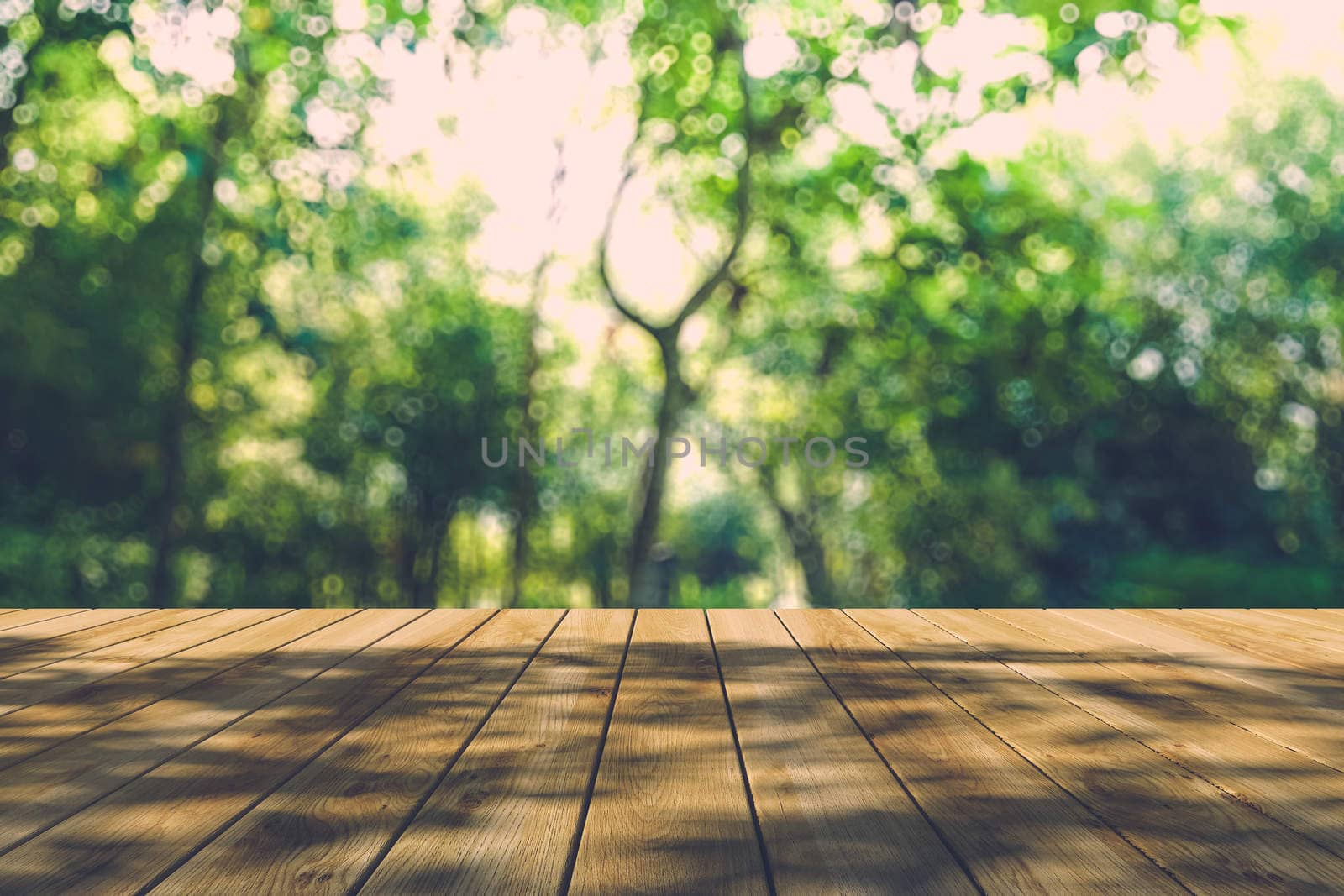 Beautiful sunlight in the autumn forest with wood planks floor by teerawit