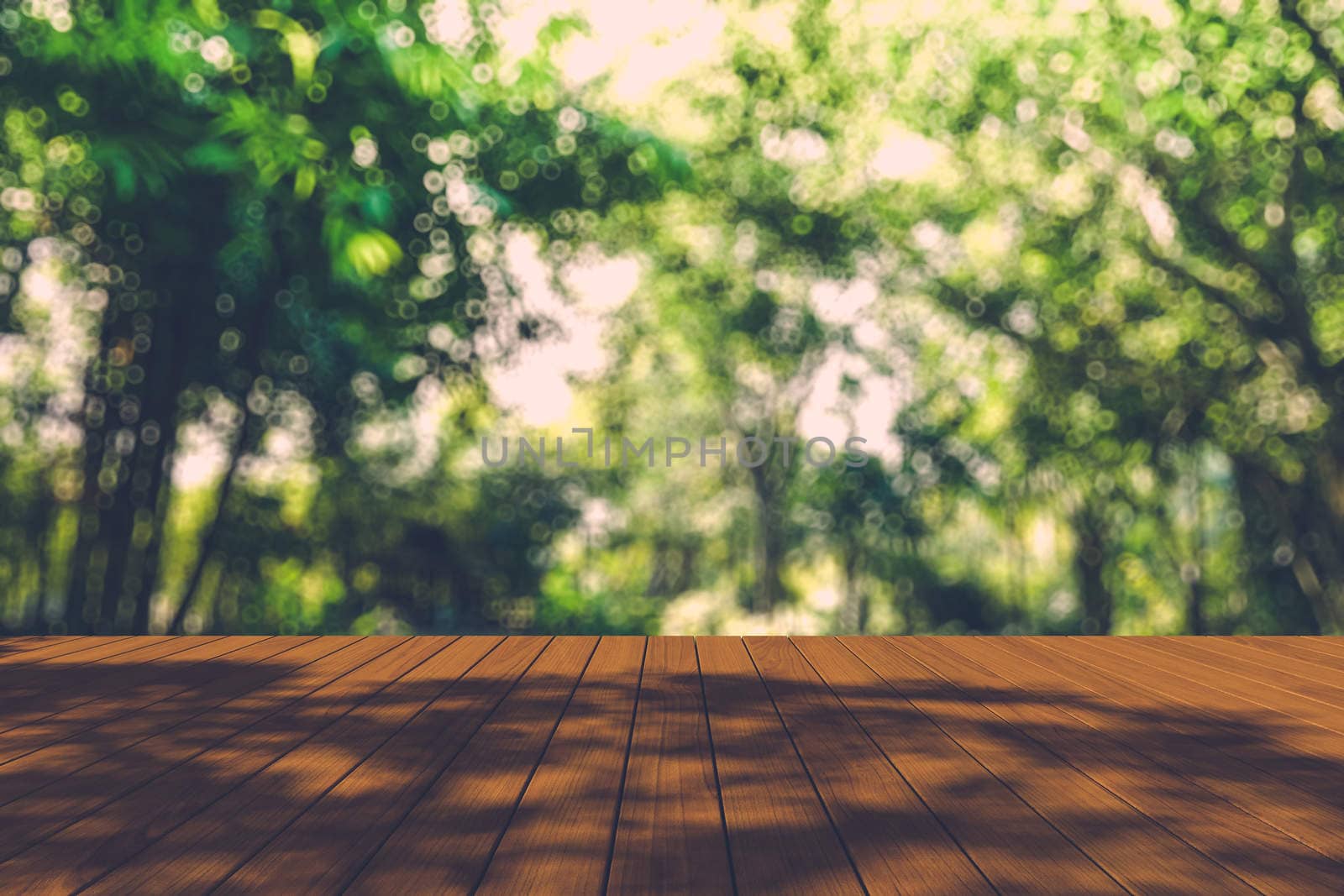 Beautiful sunlight in the autumn forest with wood planks floor, nature background, bokeh background