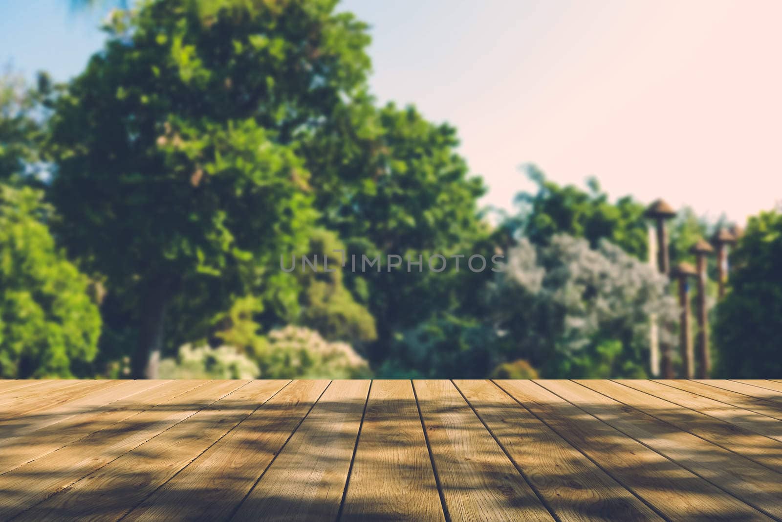 Beautiful sunlight in the autumn forest with wood planks floor, nature background, bokeh background