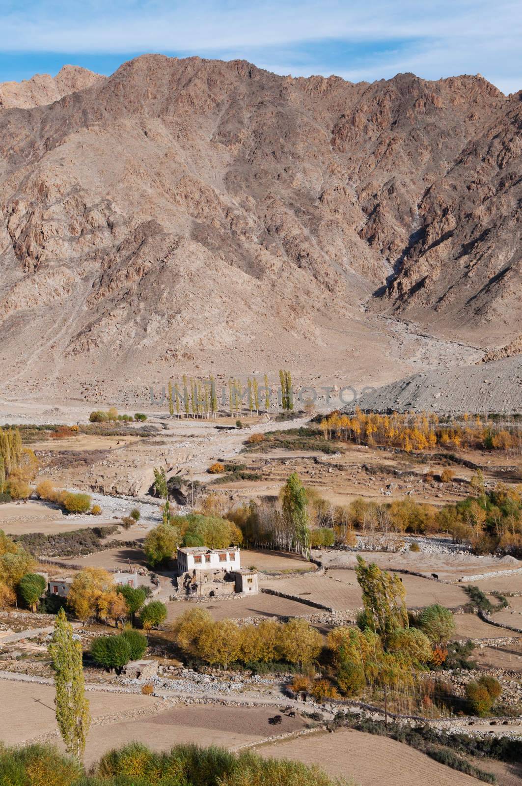 Small Leh village in northen India by szefei