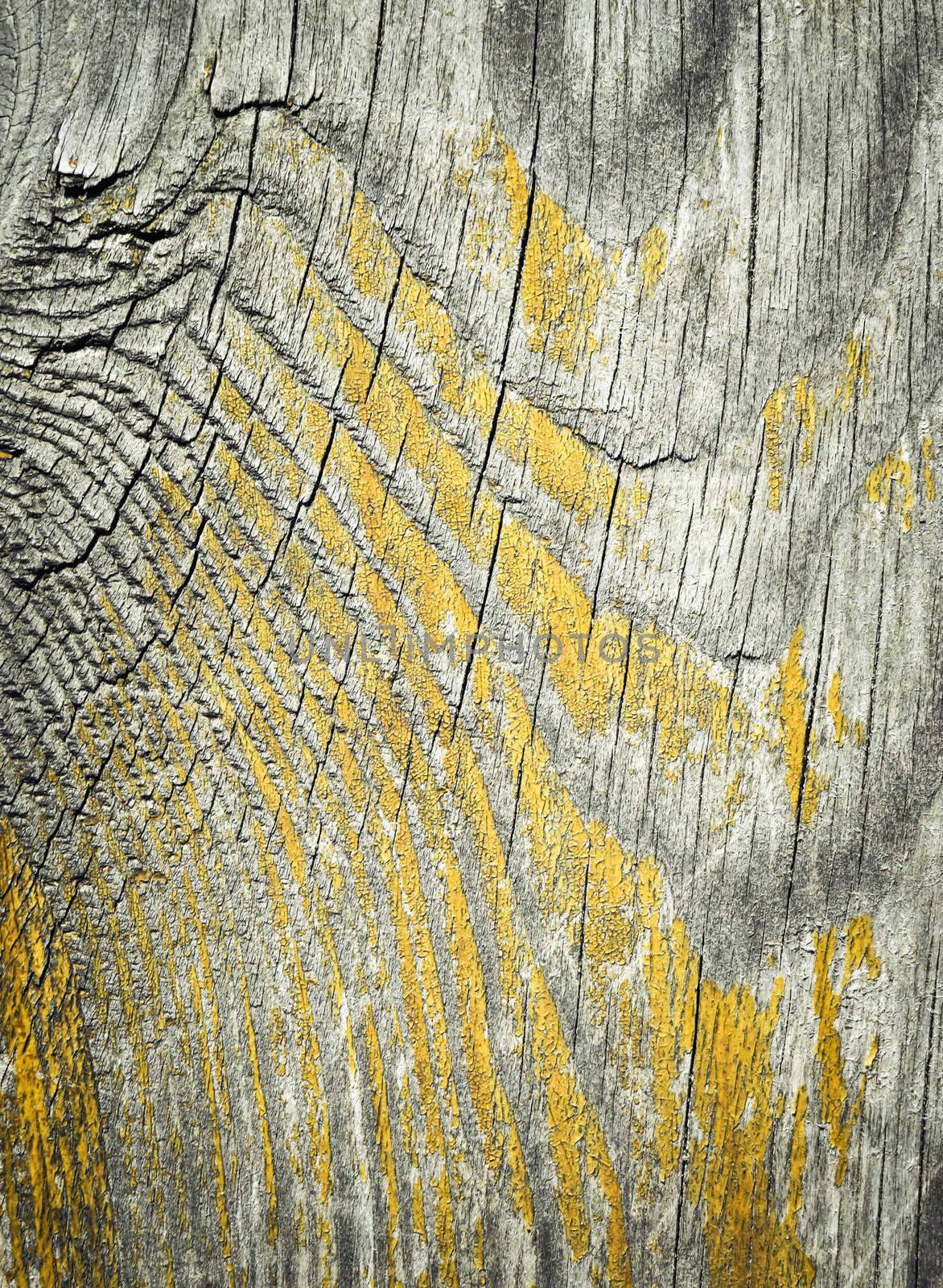 Old wood board with peeled yellow paint by Ahojdoma