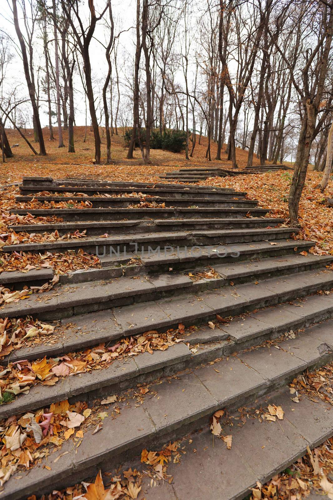 Stairs in the fall with  brown  leaves