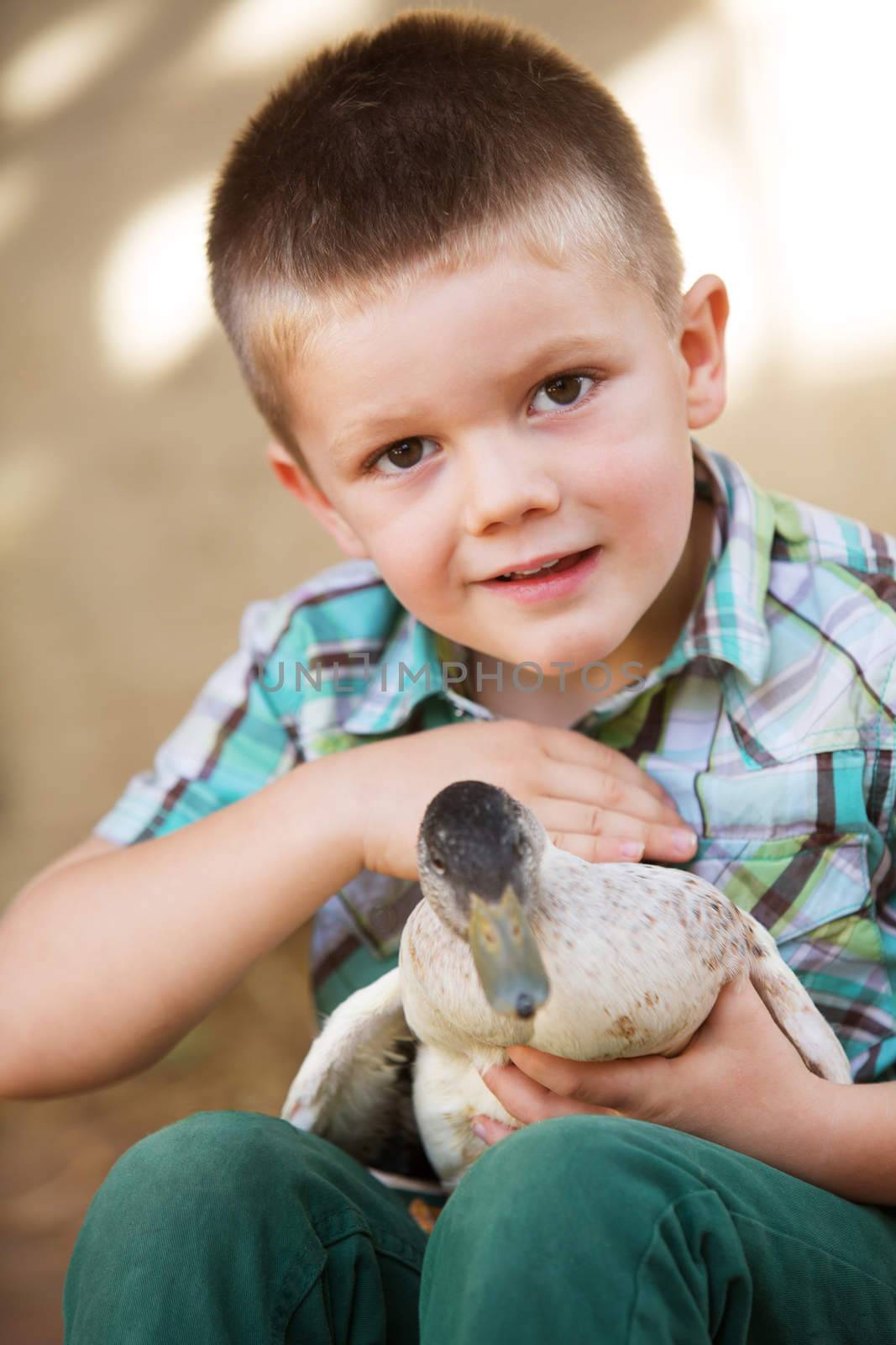 Smiling little boy petty a duck outdoors