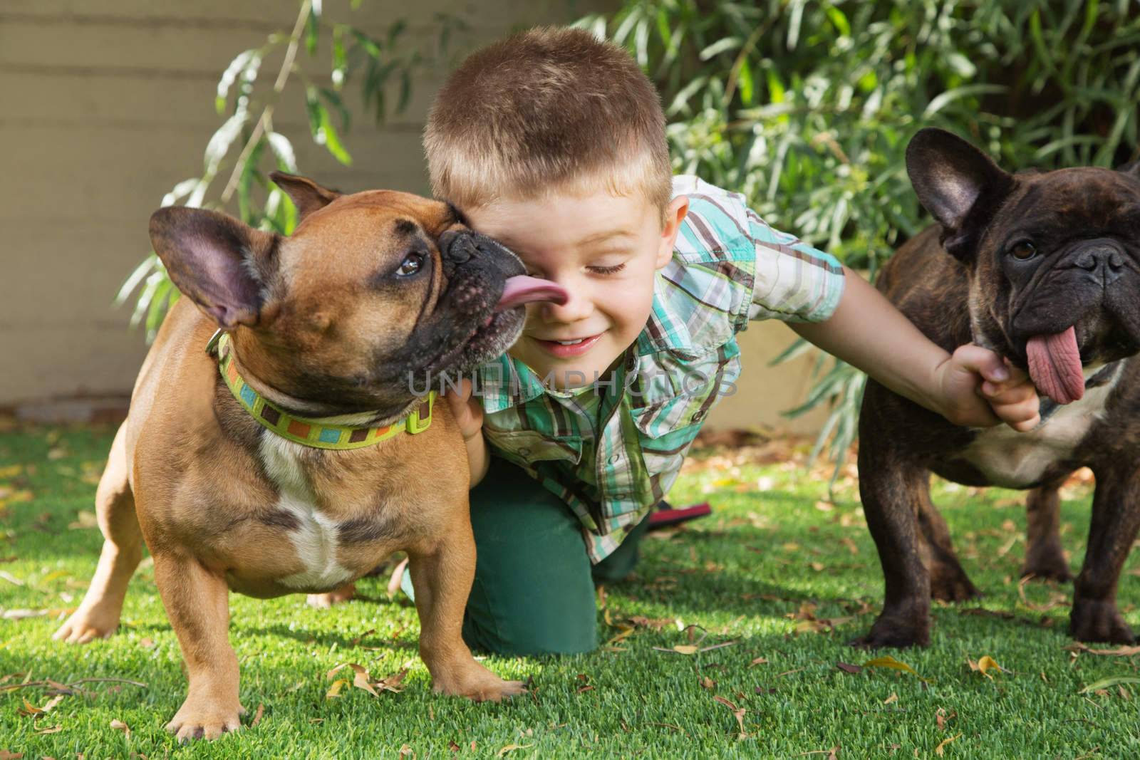 Cute Boy with Affectionate Dogs by Creatista