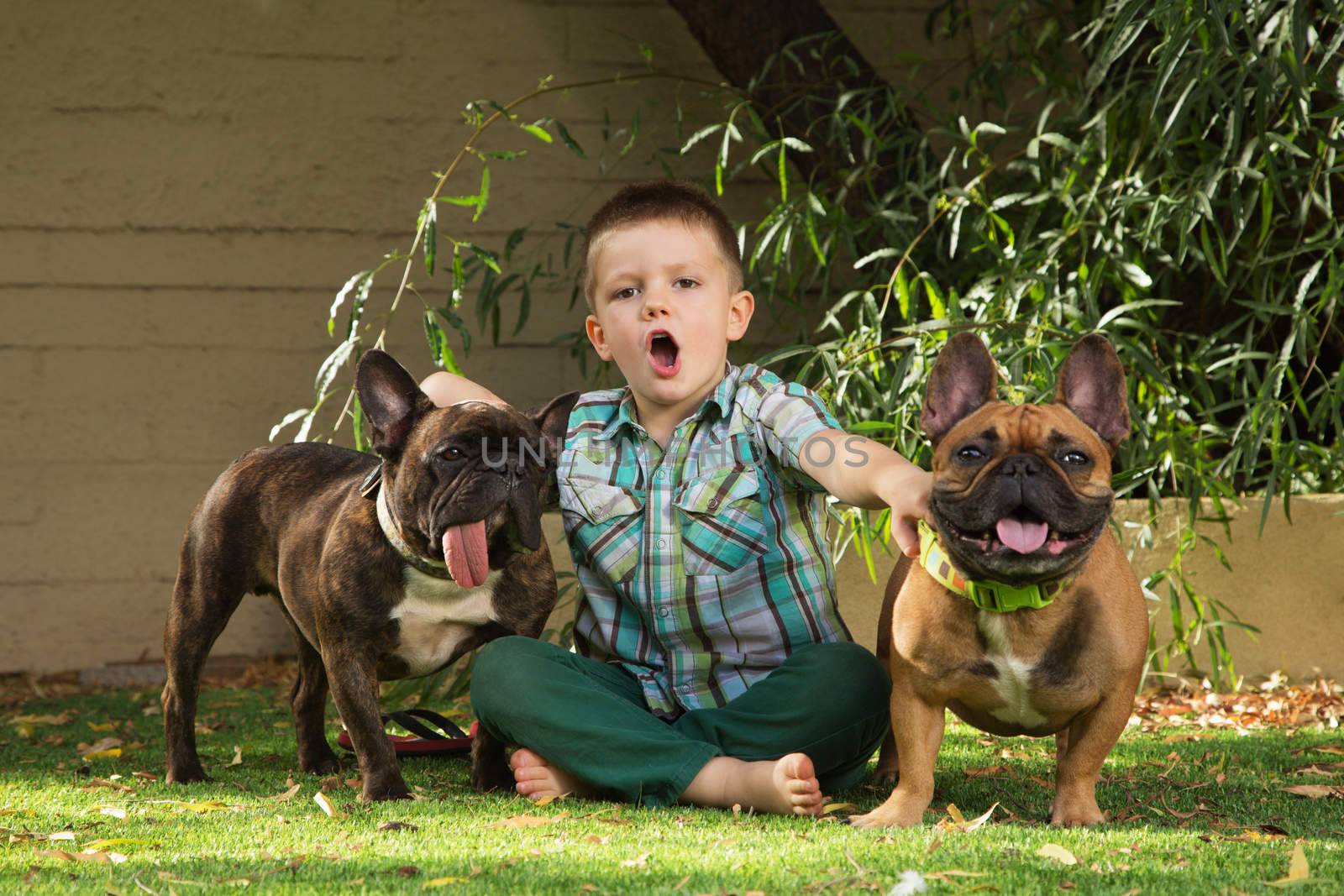 Child howling with pair of bulldogs outdoors