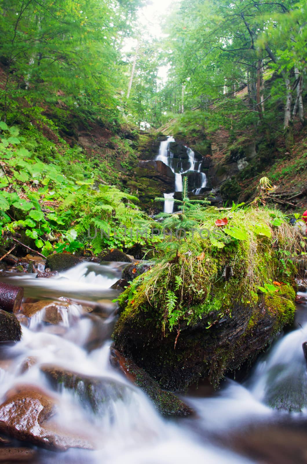 Waterfall in the Carpathian autumn forest. Water with motion blur.