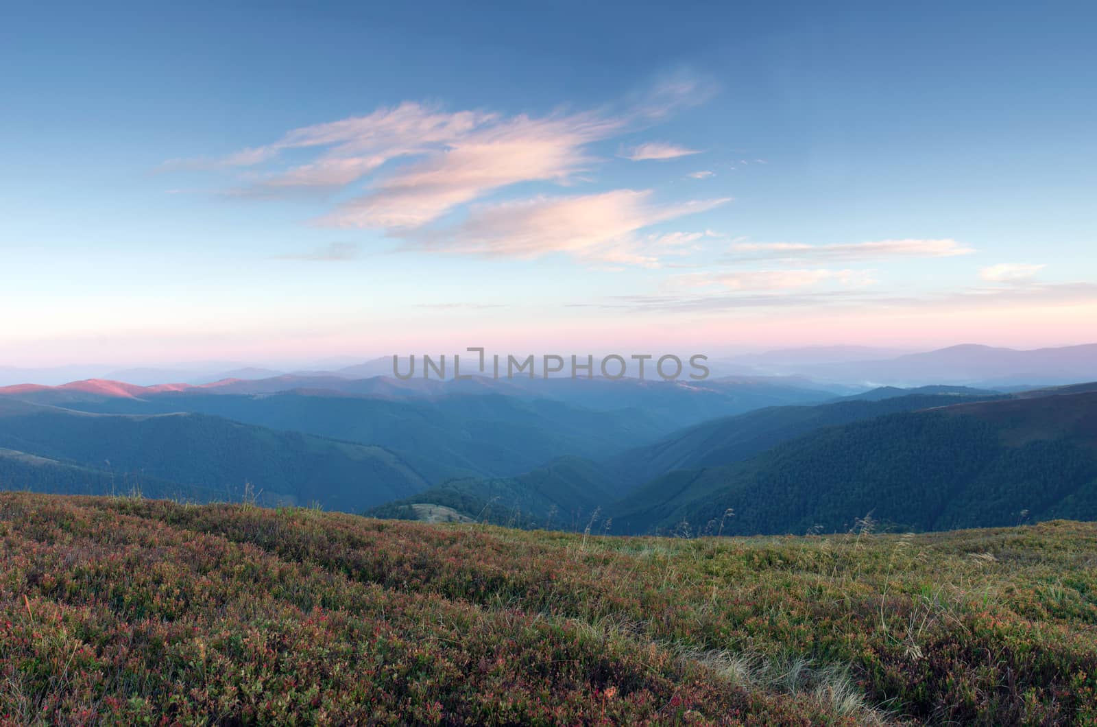 evening mountain plateau landscape (Carpathian, Ukraine) 