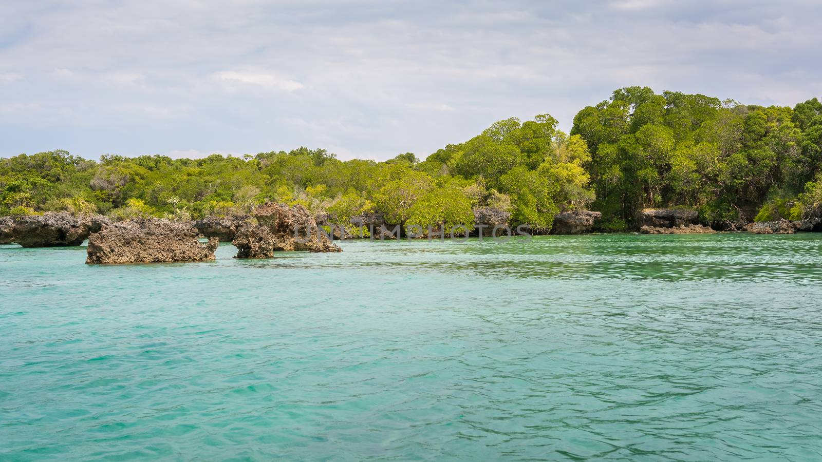 Seascape with background mangrove trees  on the tropical coast of Zanzibar island.