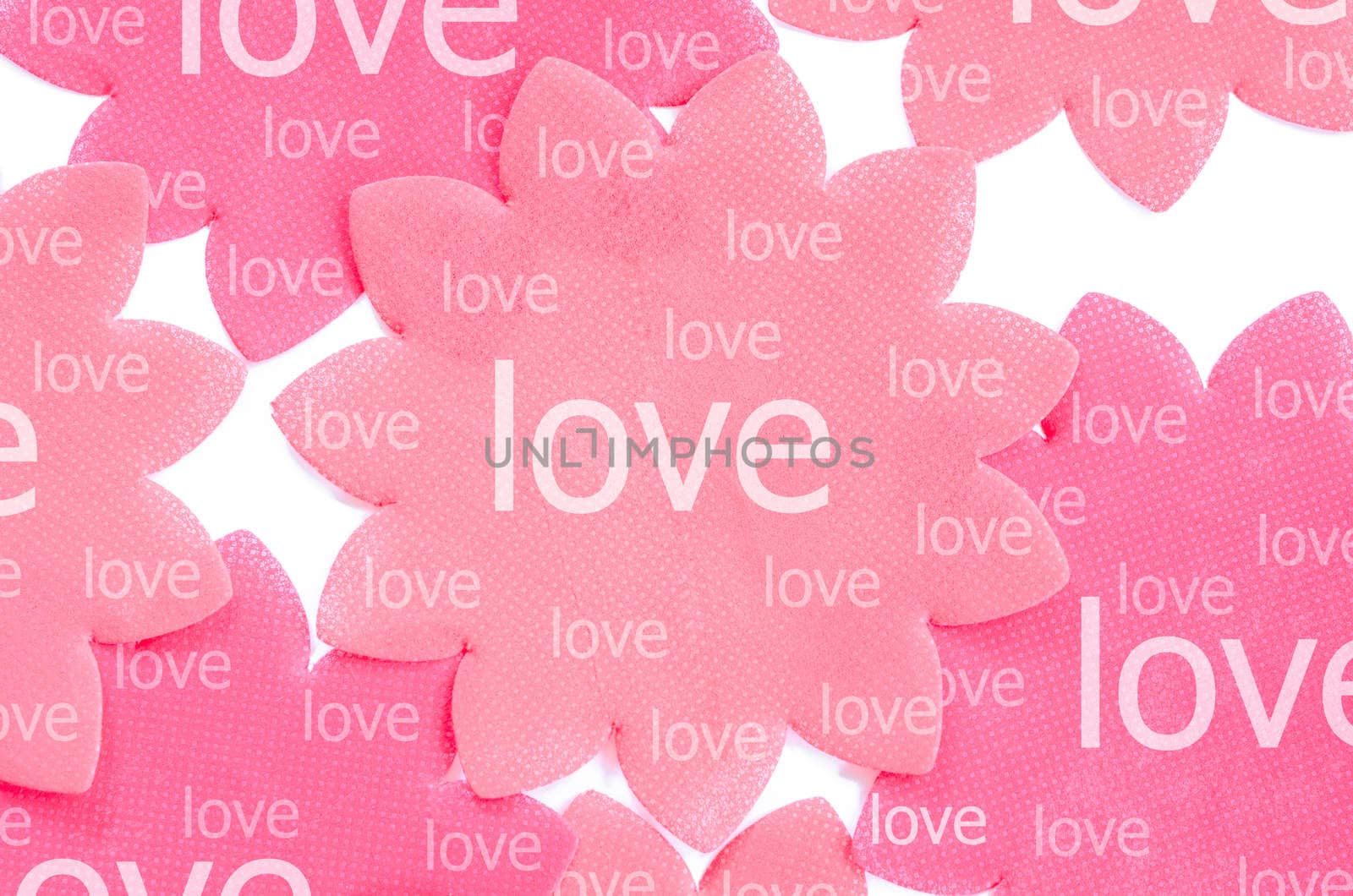 Love on pink paper flower on white background use as background.