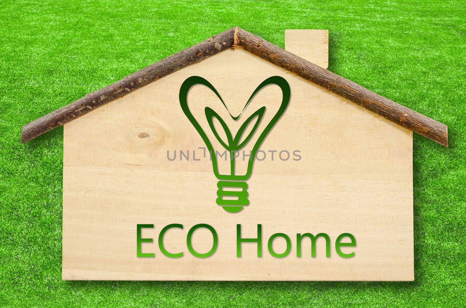 Eco home on Little home wooden model on green grass background. Save clipping path