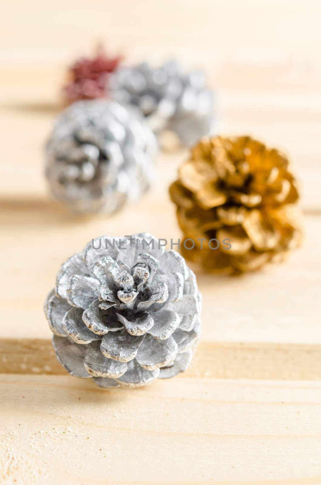 Christmas, decoration with pine cones silver. by Gamjai