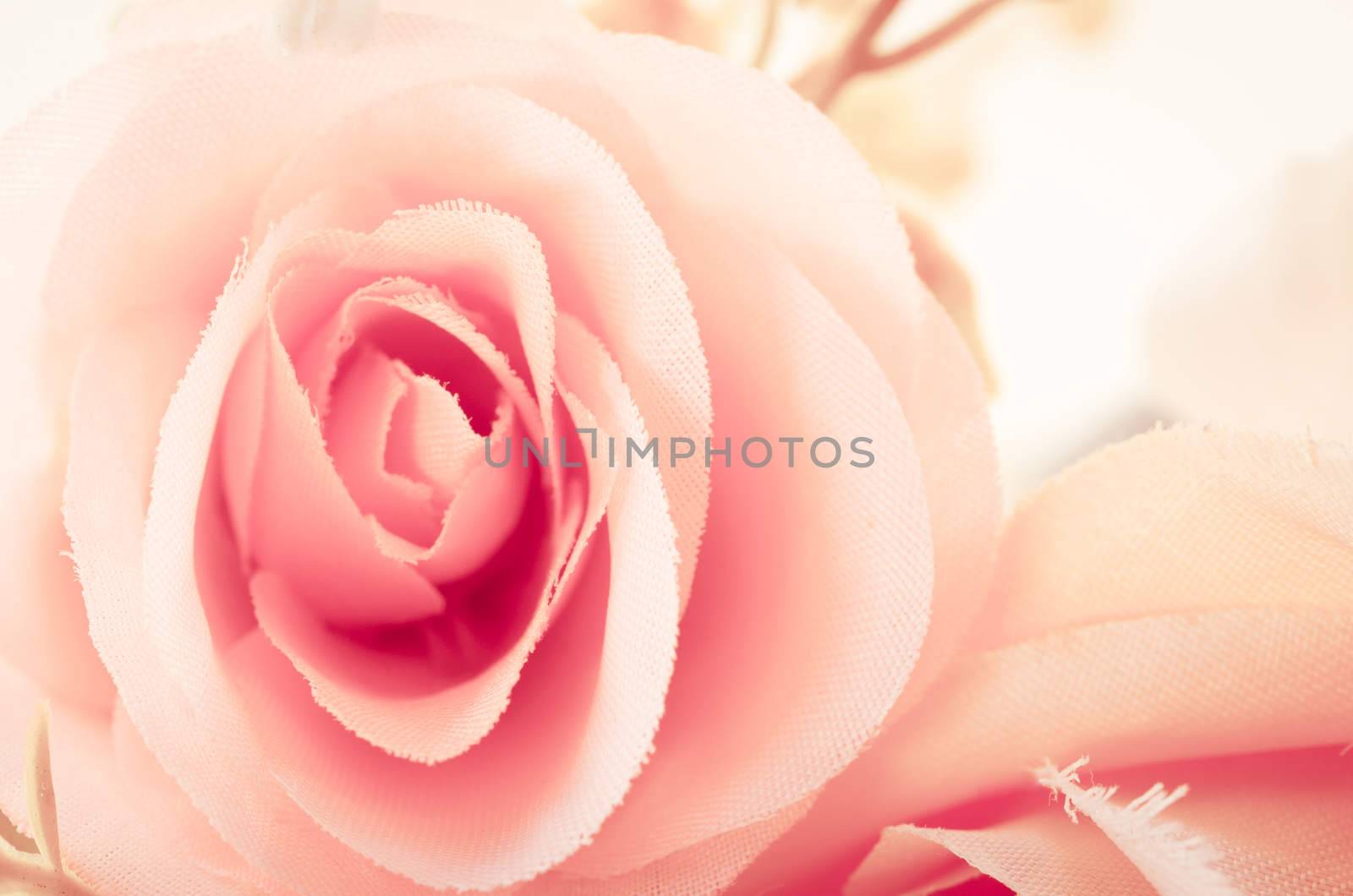 Close up vintage of center pink rose as background.