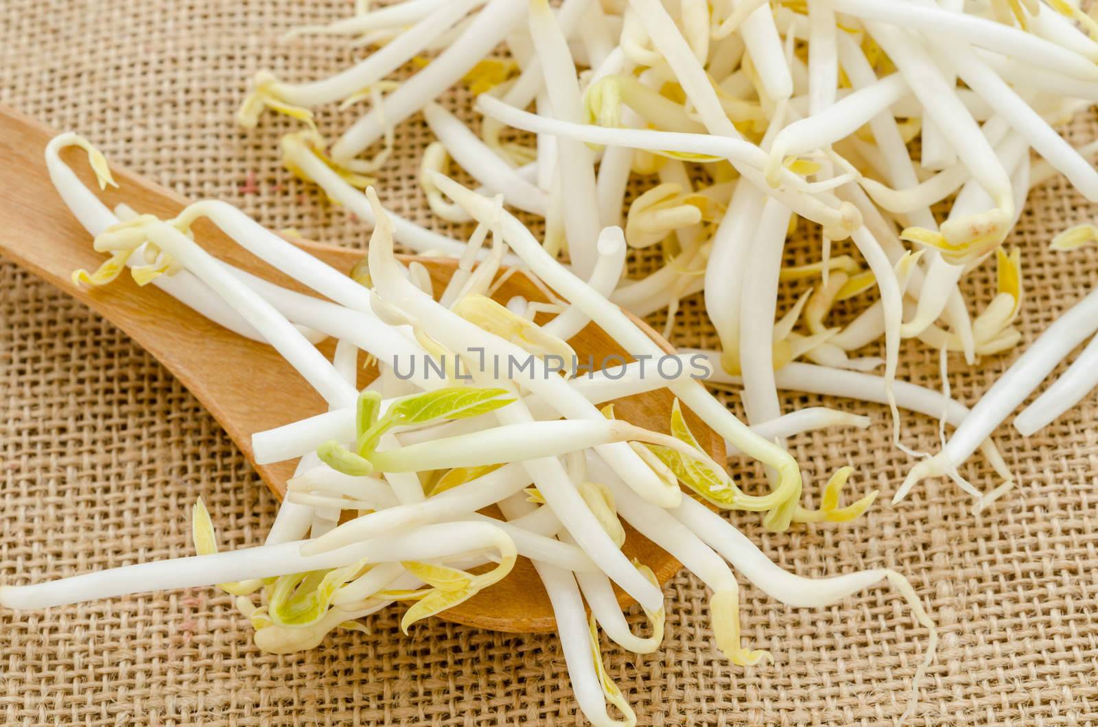 Mung beans or bean sprouts on sack background.