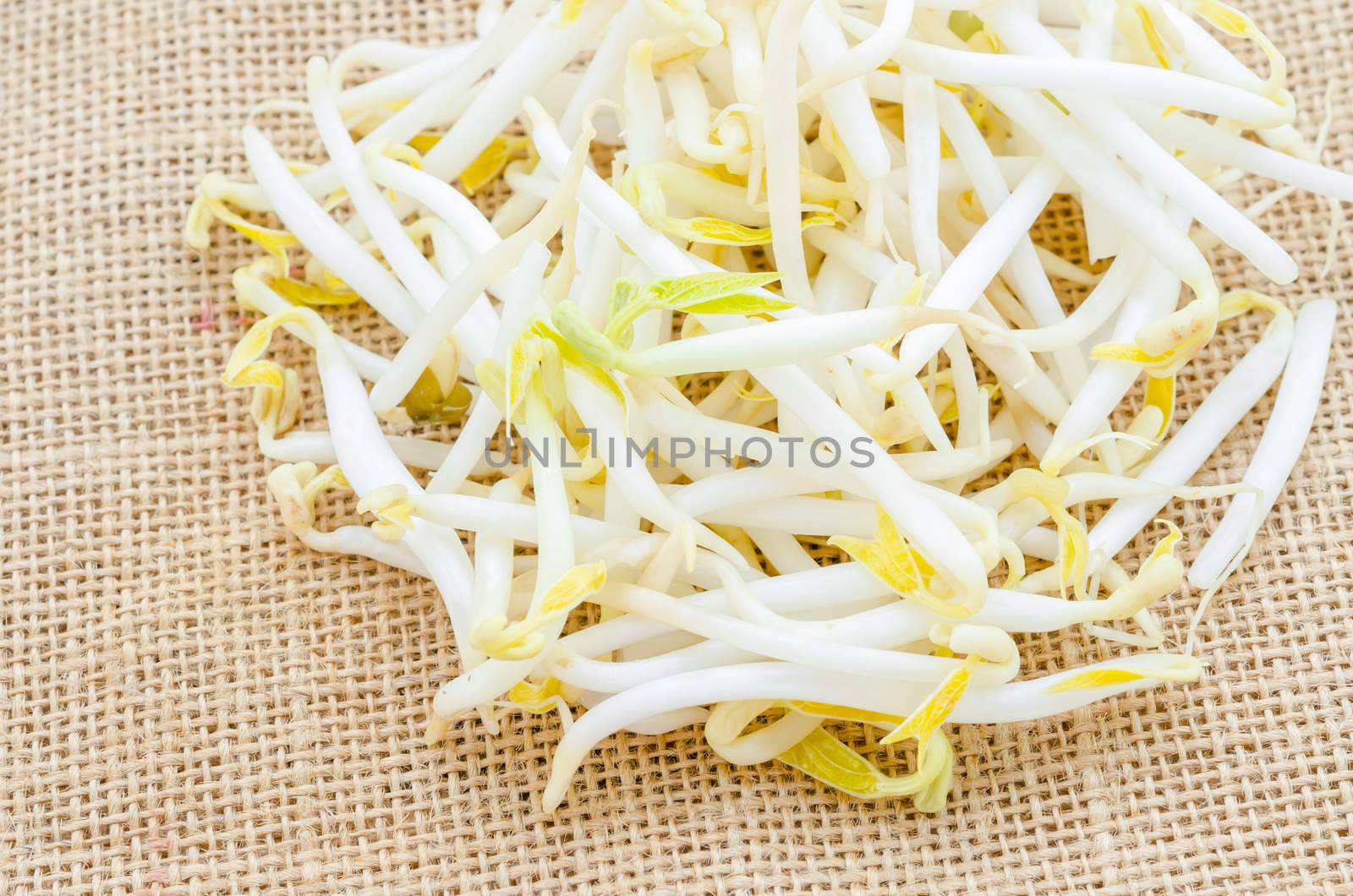 Mung beans or bean sprouts. by Gamjai