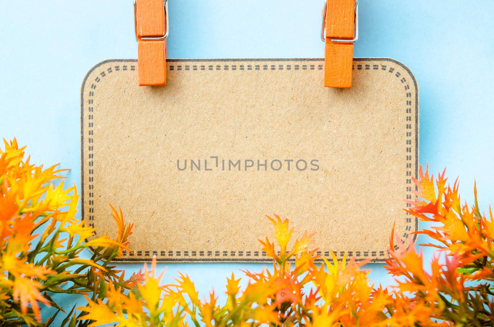 Blank brown tag and wooden clip with yellow leaf on blue blackground.