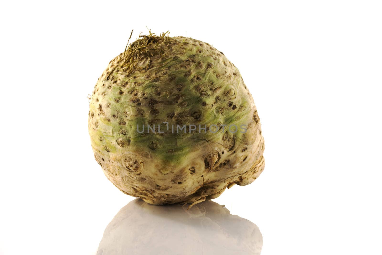 Single celery root isolated on a white background