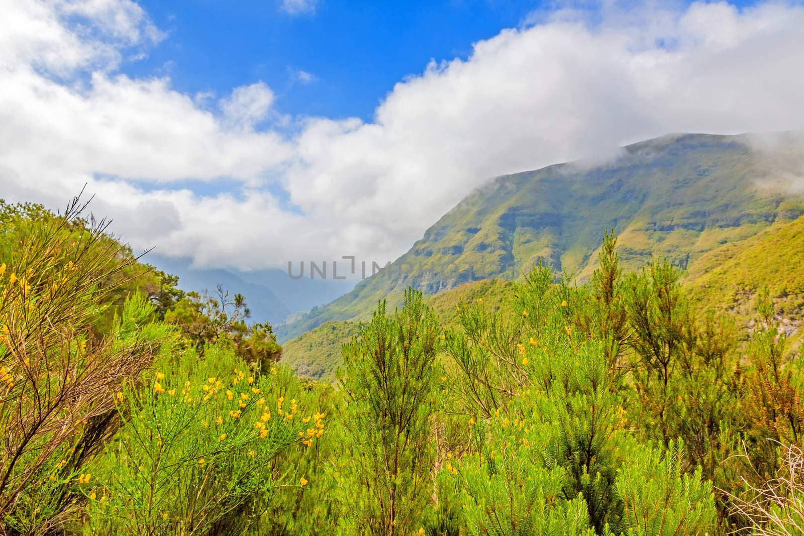 Island of Madeira - the magnificent natural landscape in the west, near the 25 Fontes falls