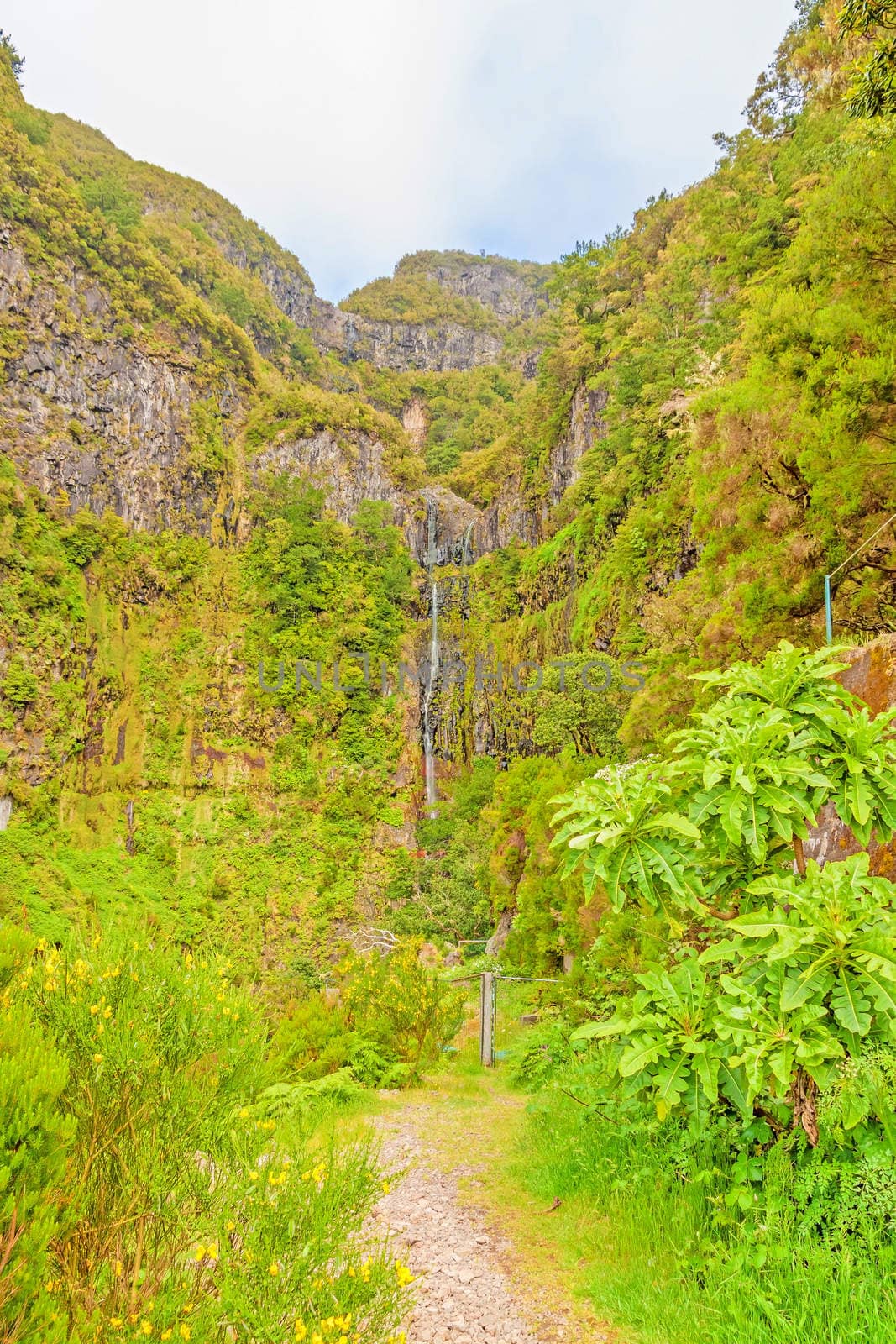 View of 25 fontes falls (25 fountains waterfalls) and greenish forest landscape on Madeira, the hiking and flower island