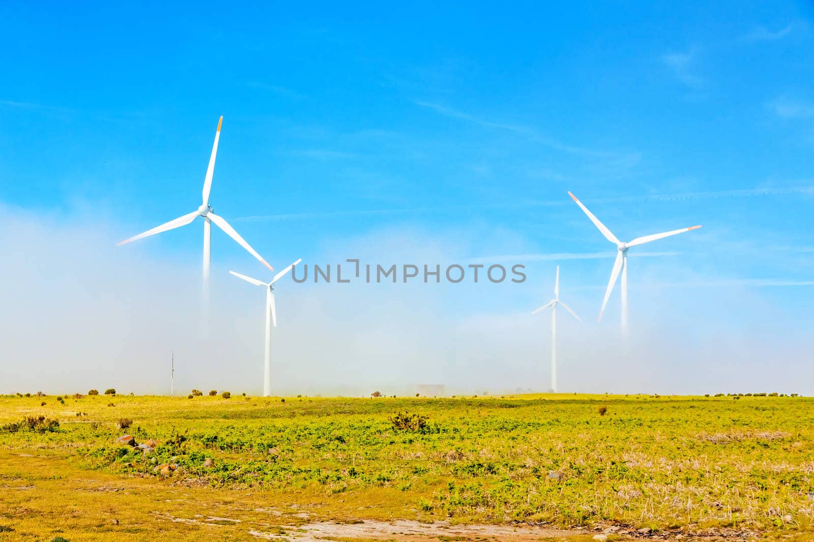 wind turbines in natural landscape - green meadow