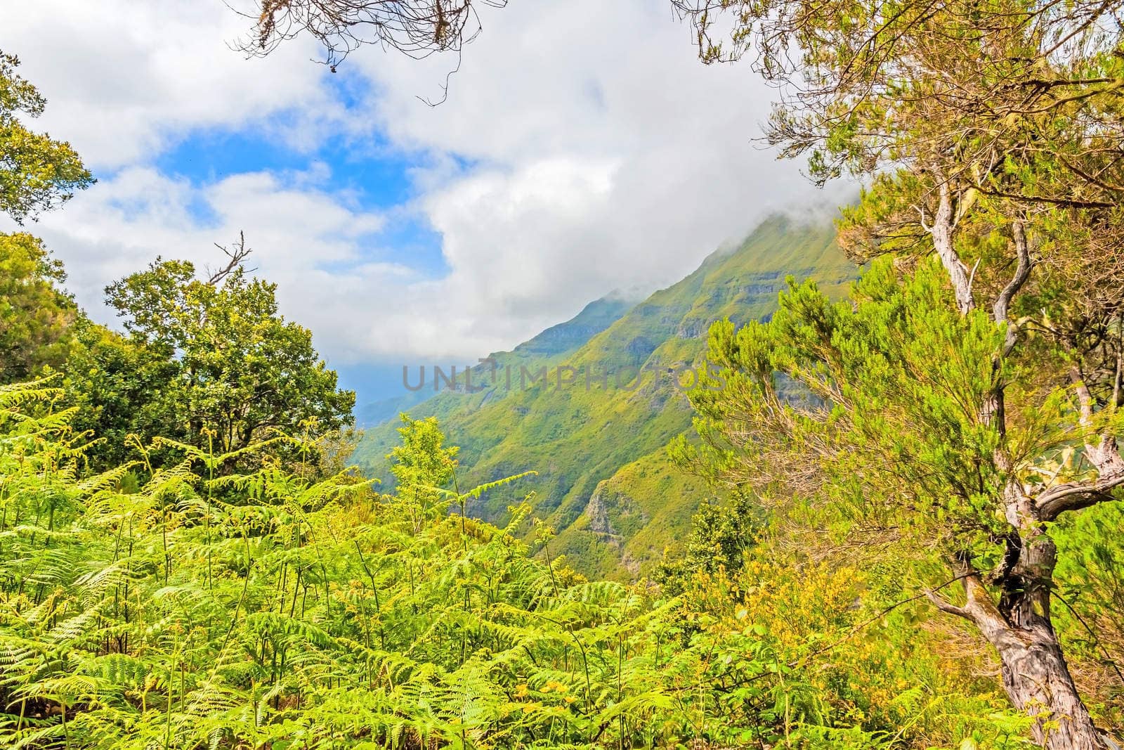 The magnificent inland of the island of Madeira