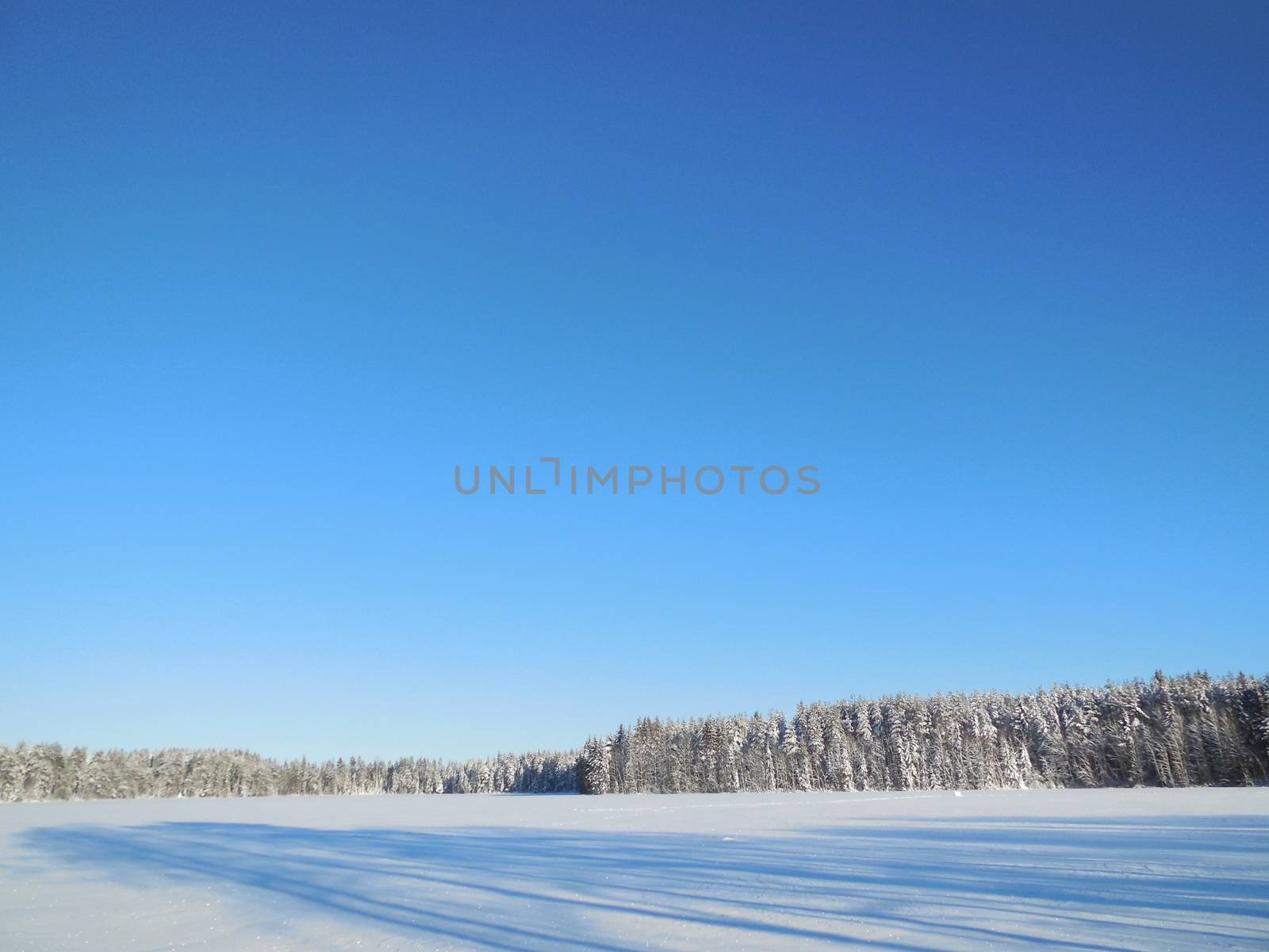 Winter landscape in the Karelia, in February 2015. by olga_ovchinnikova