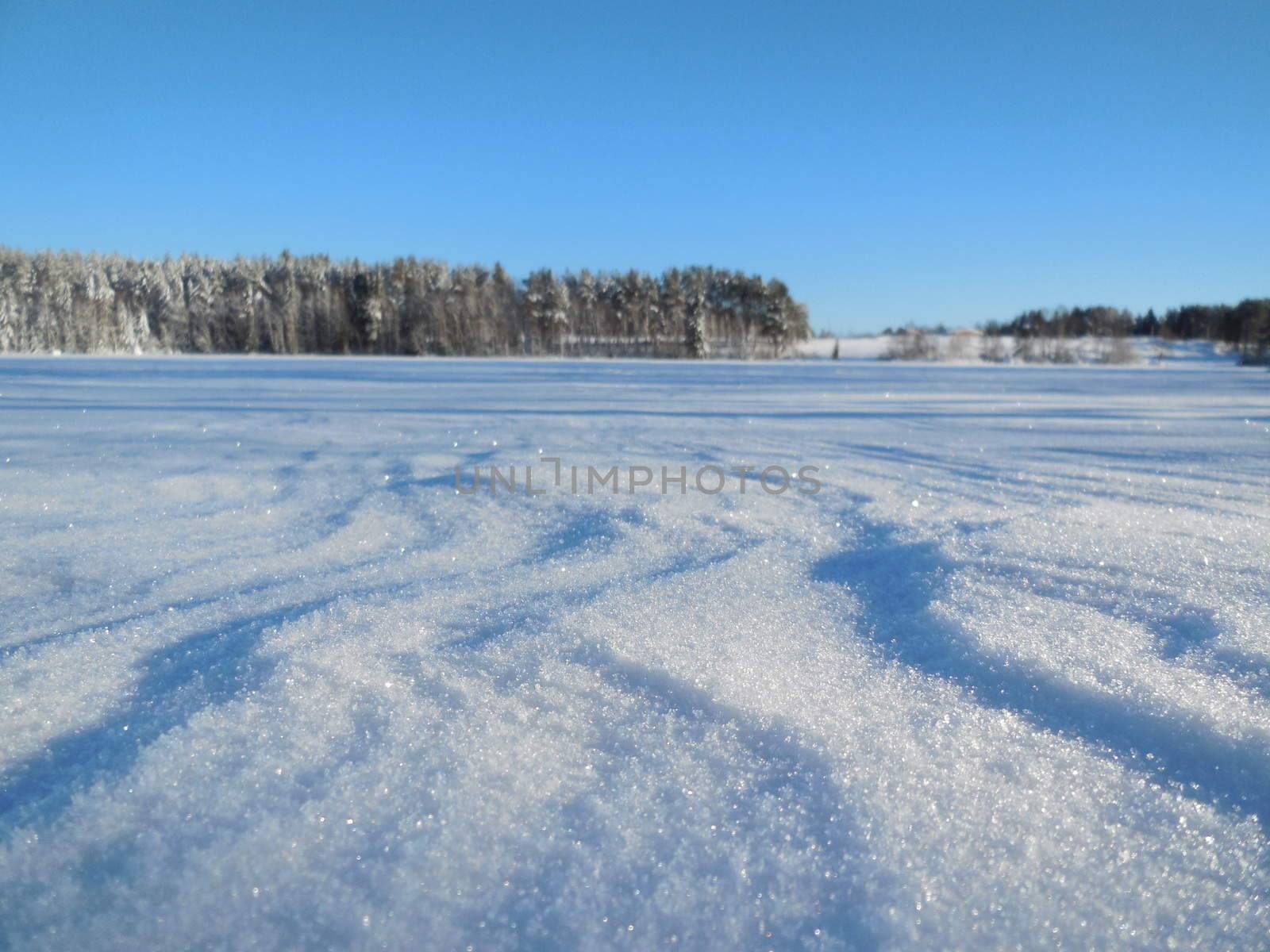 Winter landscape in the Karelia, in February 2015.