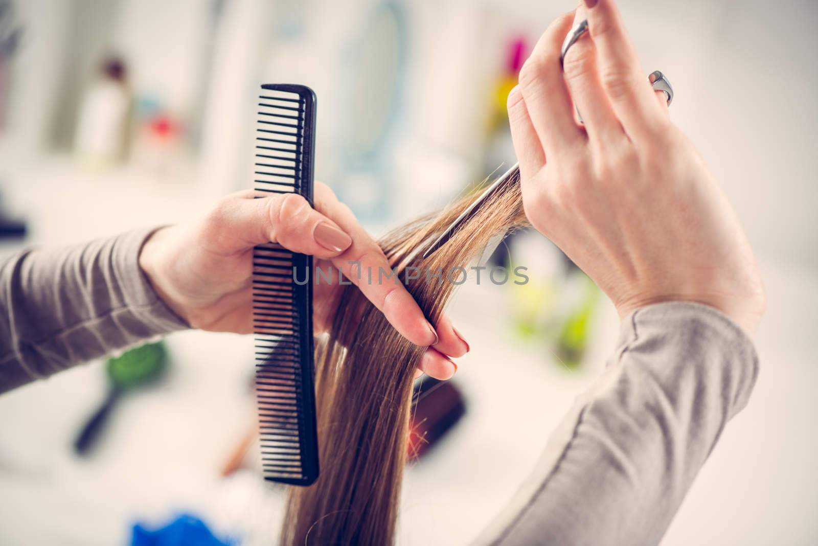 Close-up of a hairdresser cutting the hair of a woman. 