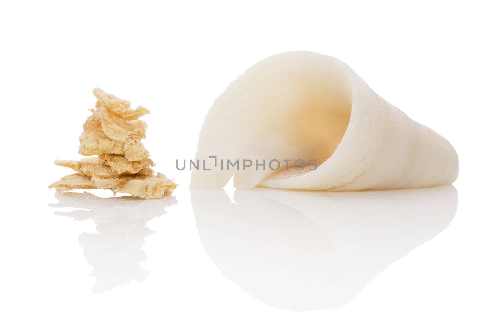 Fresh halibut fillet and dry fish snack isolated on white background. Culinary seafood eating. 