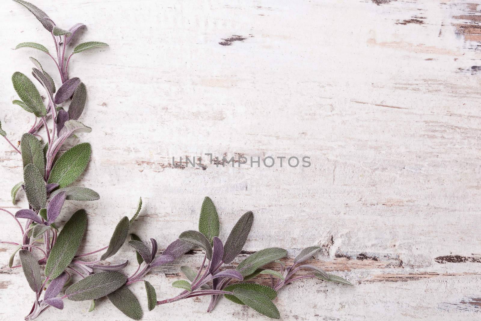 Sage herb on white wooden background with copy space. Alternative herbal medicine.