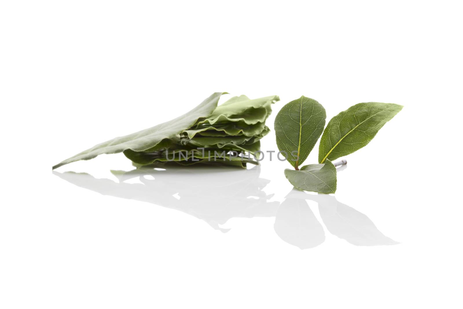 Bay leaves isolated on white background. Culinary herb, cooking ingredient and medical herb. 