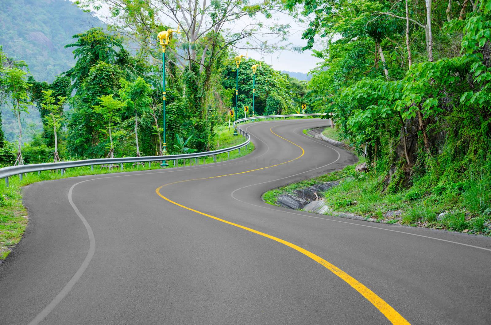 An empty S-Curved road. by Gamjai