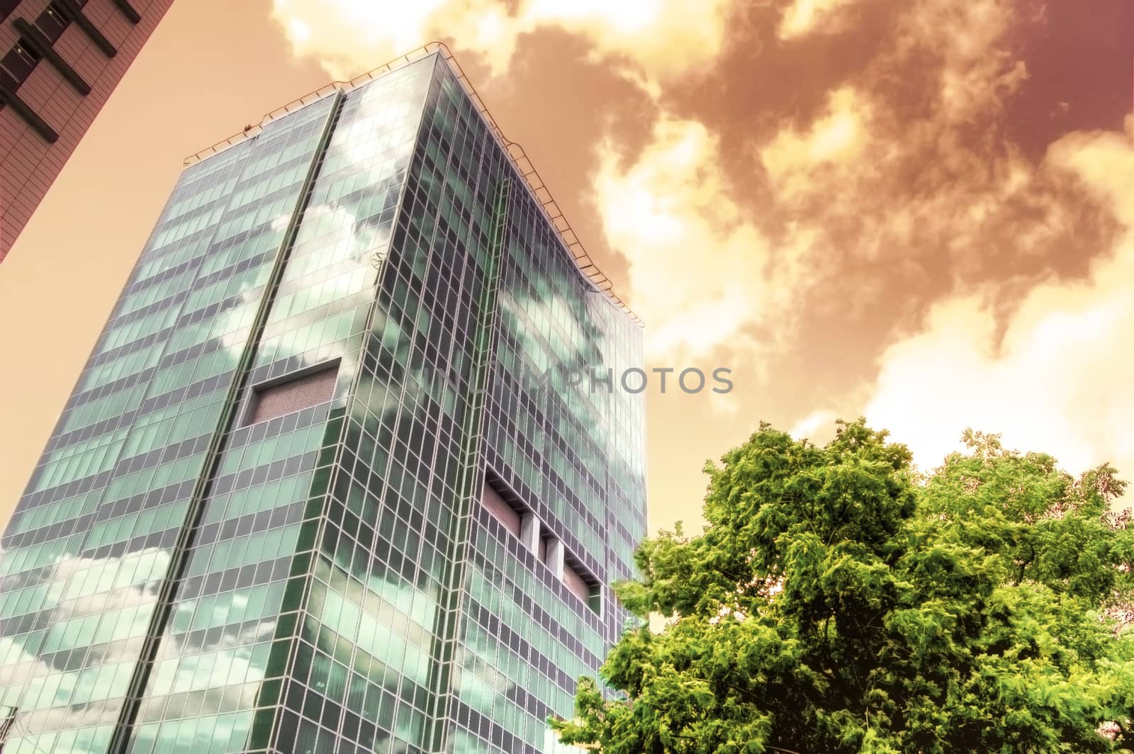 Office buildings. Abstract image.