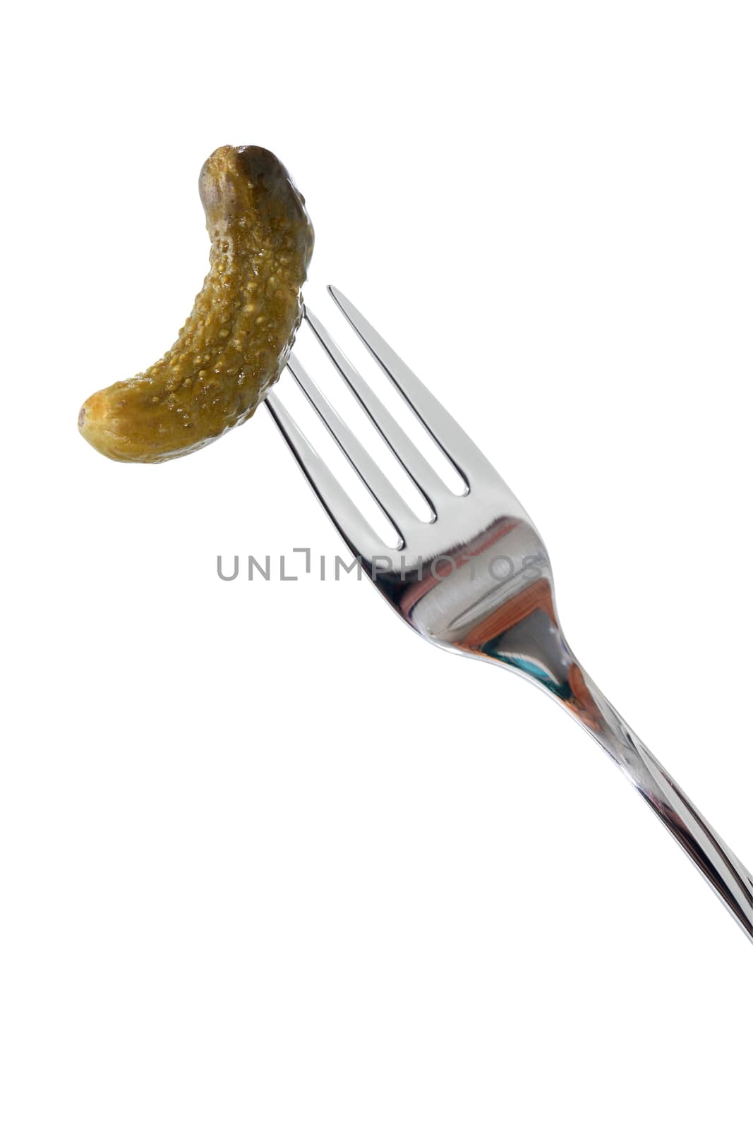 Small pickled cucumber on fork. Isolated on white with clipping path