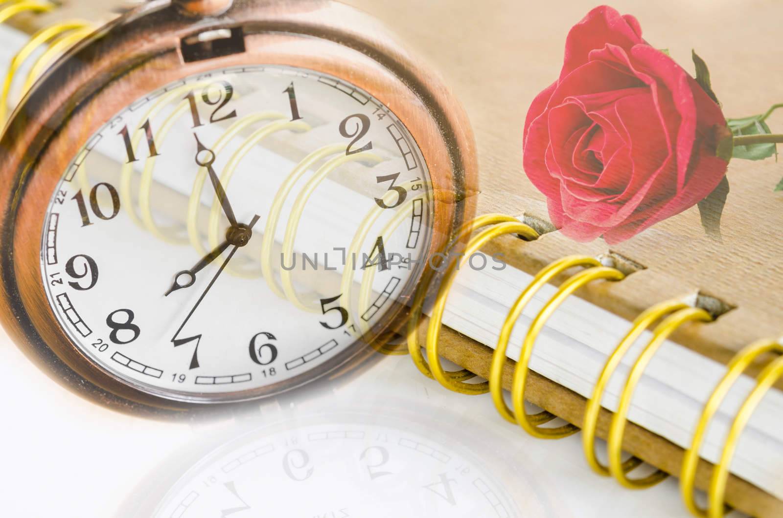 Red Rose and a pocket watch with diary on white background.