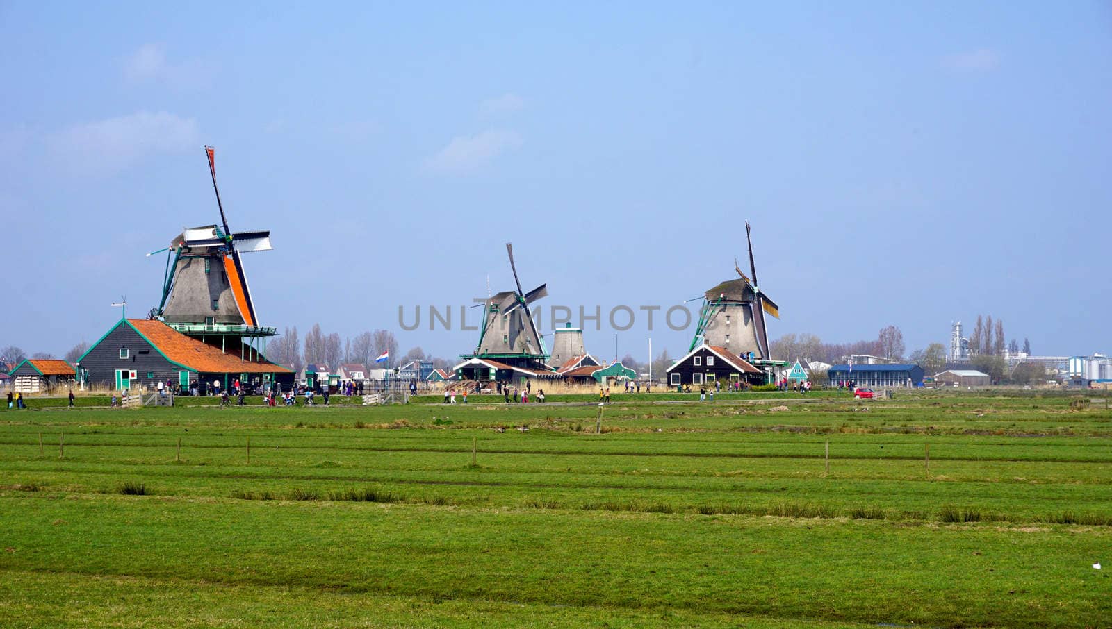 Landscape of windmills and field in holland