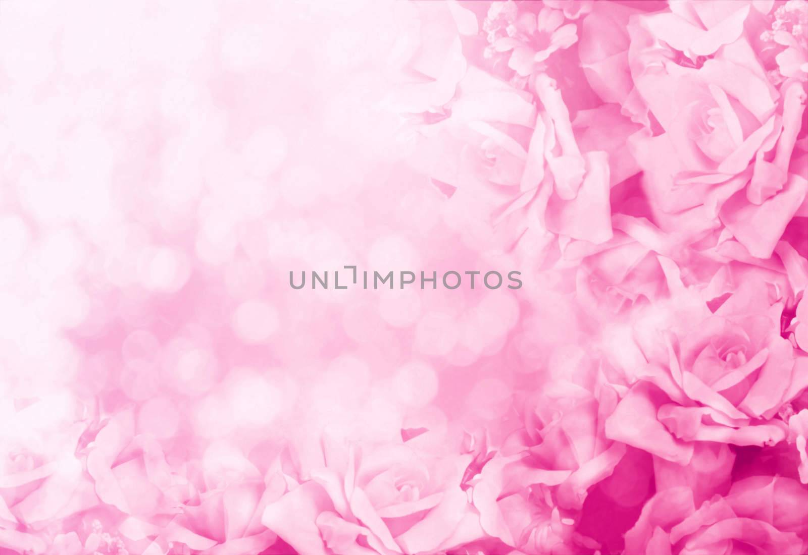 beautiful flowers made with color filters