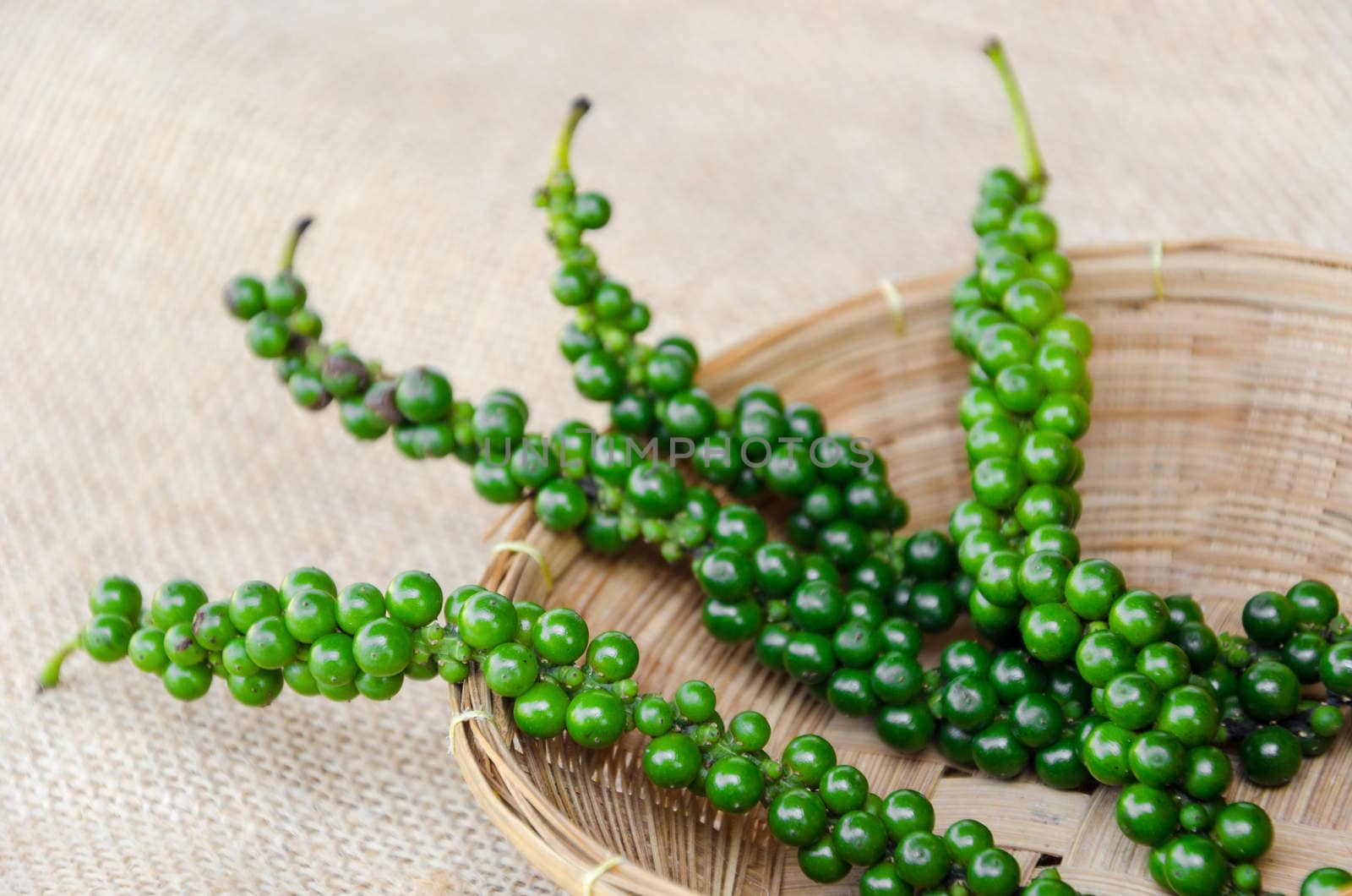 Fresh green pepper in weave basket on sack background.