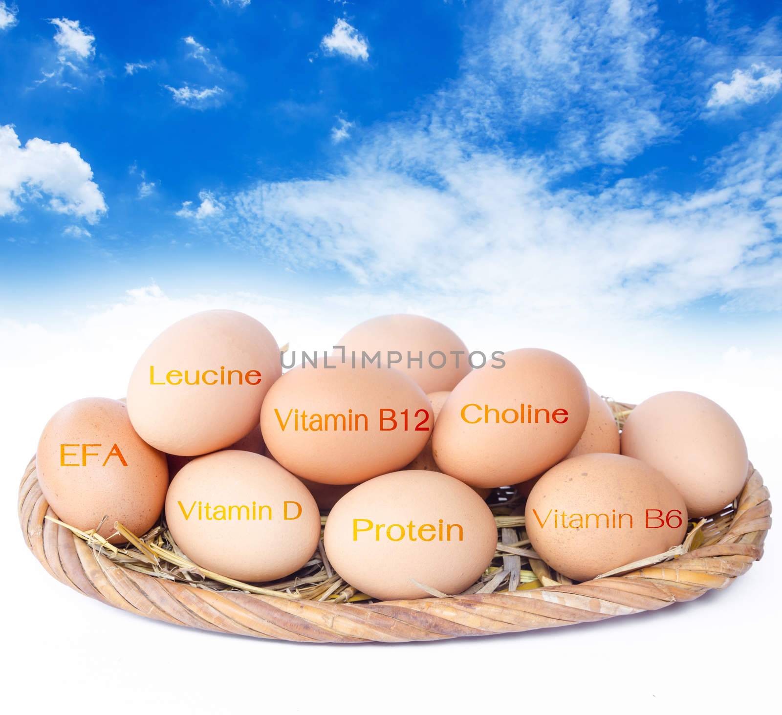 The nutrients in eggs for weight control.