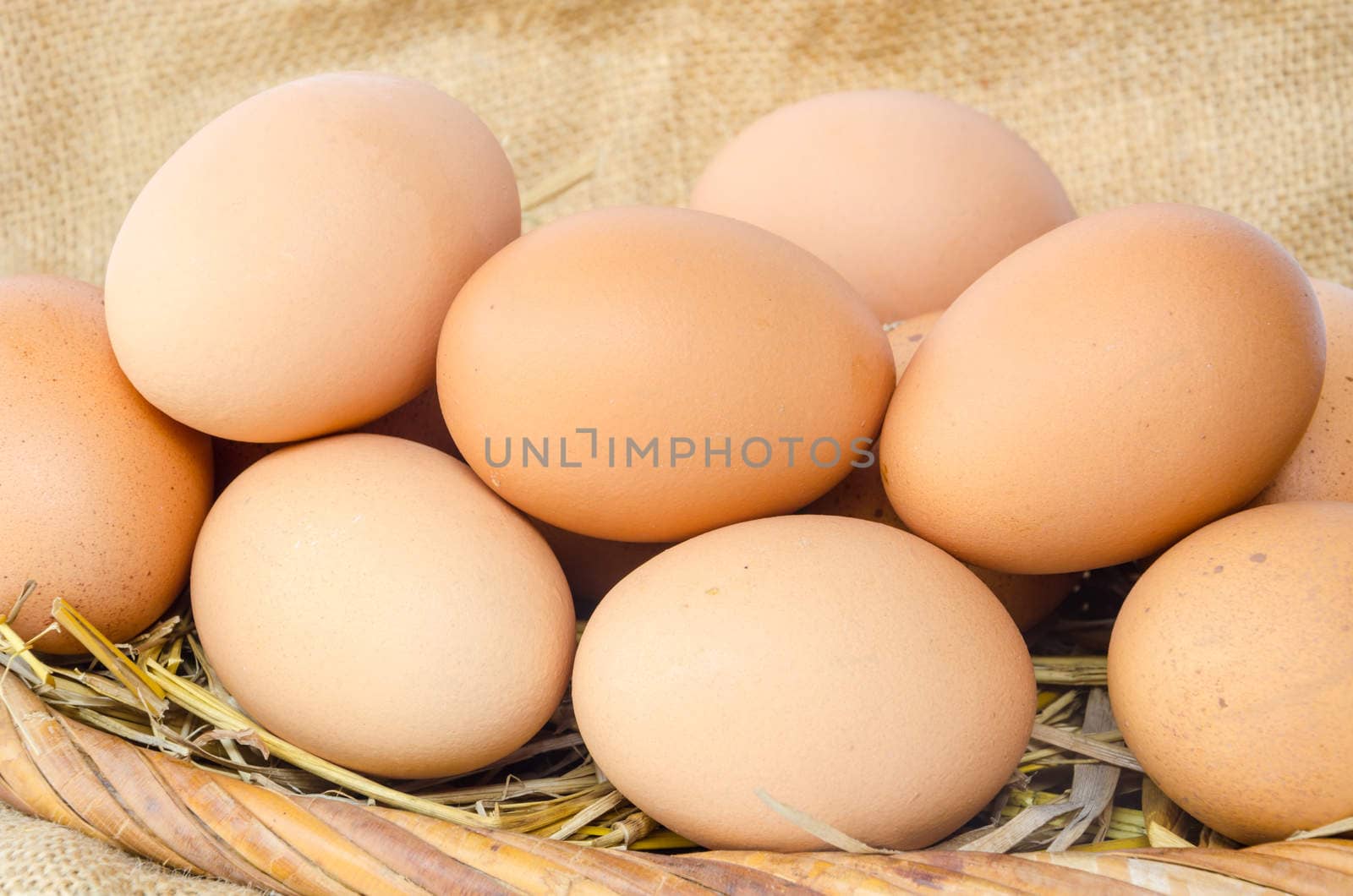 Fresh Eggs on sack background.