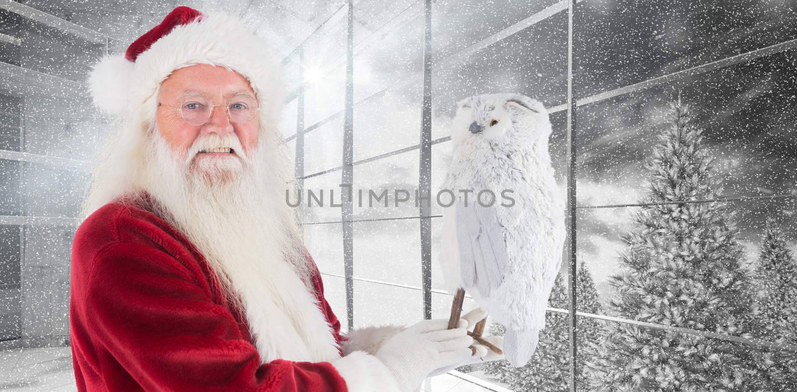 Father Christmas holds an owl against window overlooking snowy forest