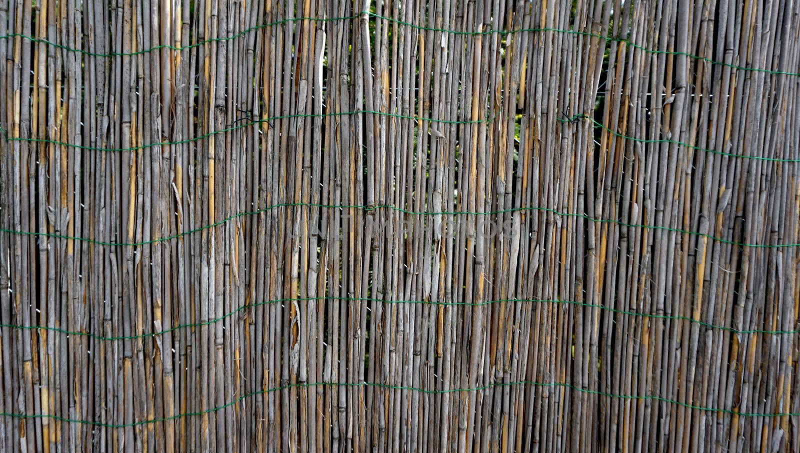 Bamboo wall fence horizontal by polarbearstudio