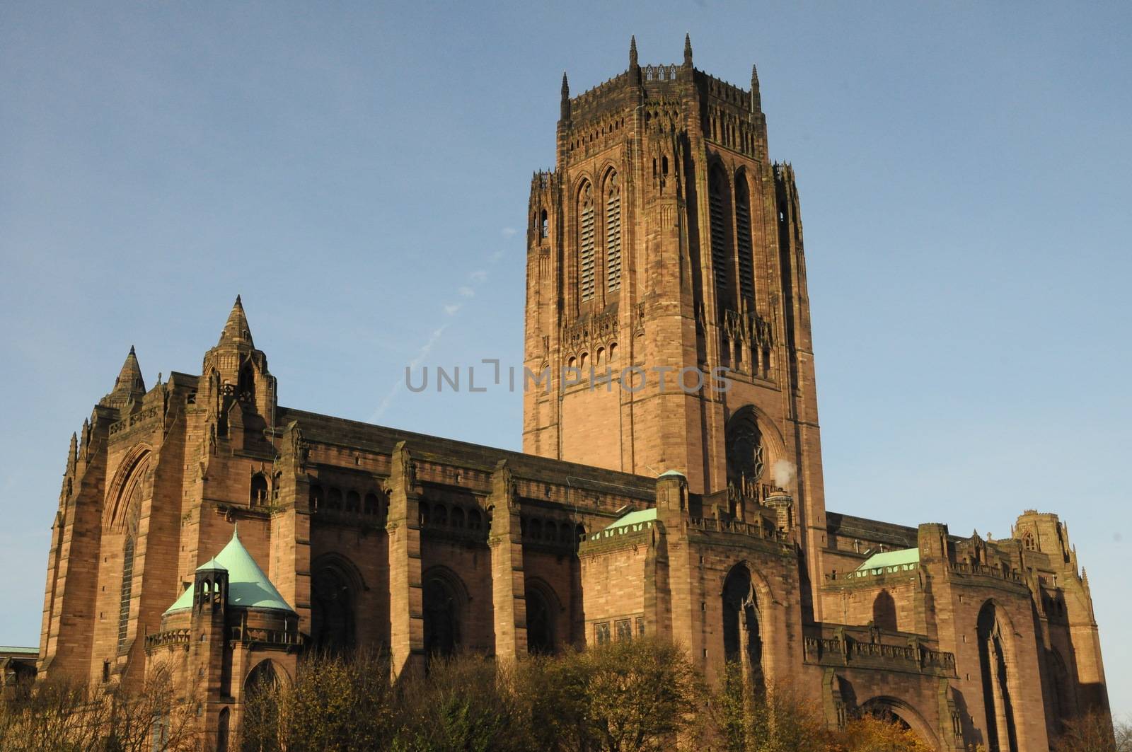 Liverpool cathedral, by gorilla