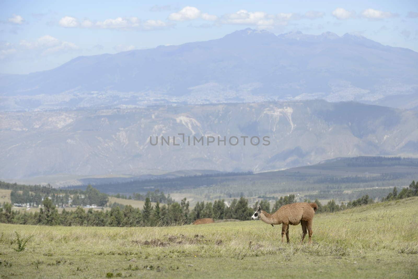 Latin American picturesque mountain view. by kertis