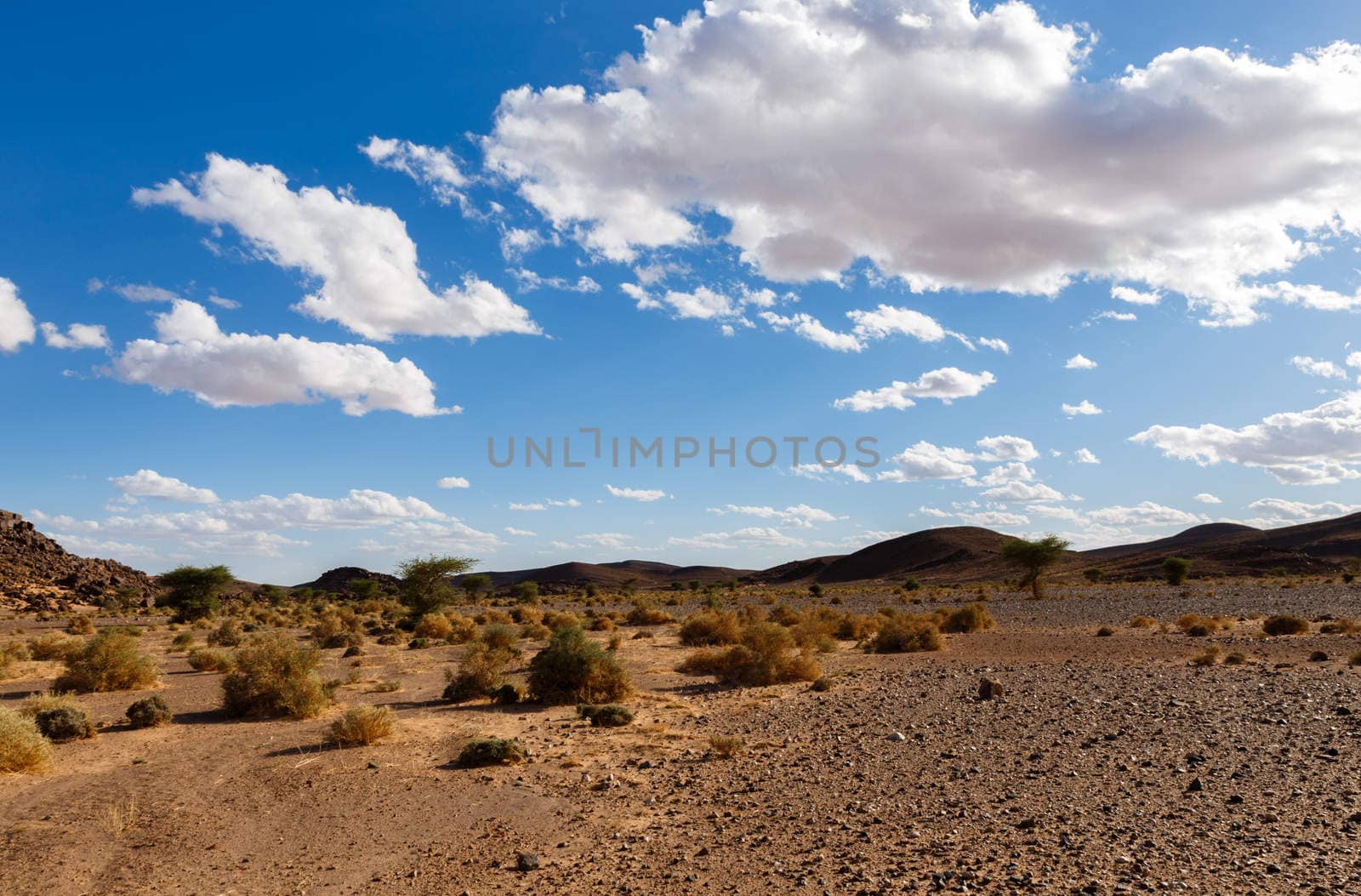 Beautiful Moroccan landscape, Sahara desert, stones against the sky