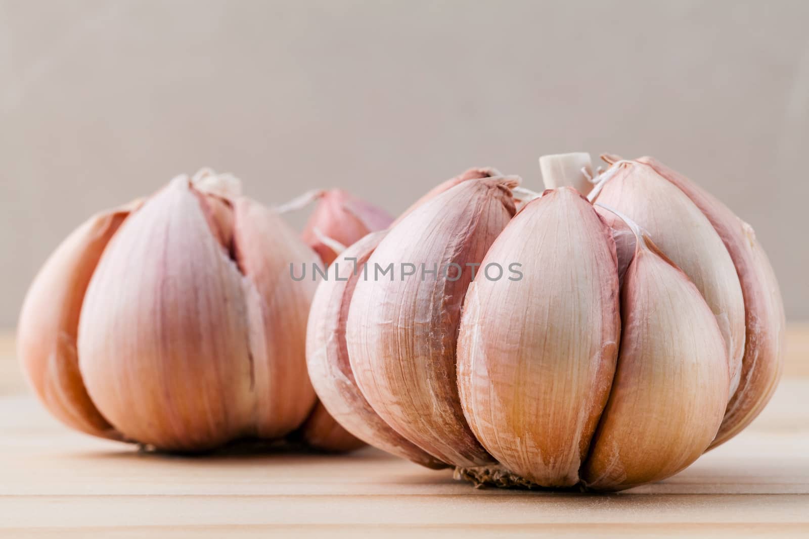 Close Up organic garlic with selective focus on the teak wood background